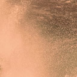 Black Friday 3 Spray Tans